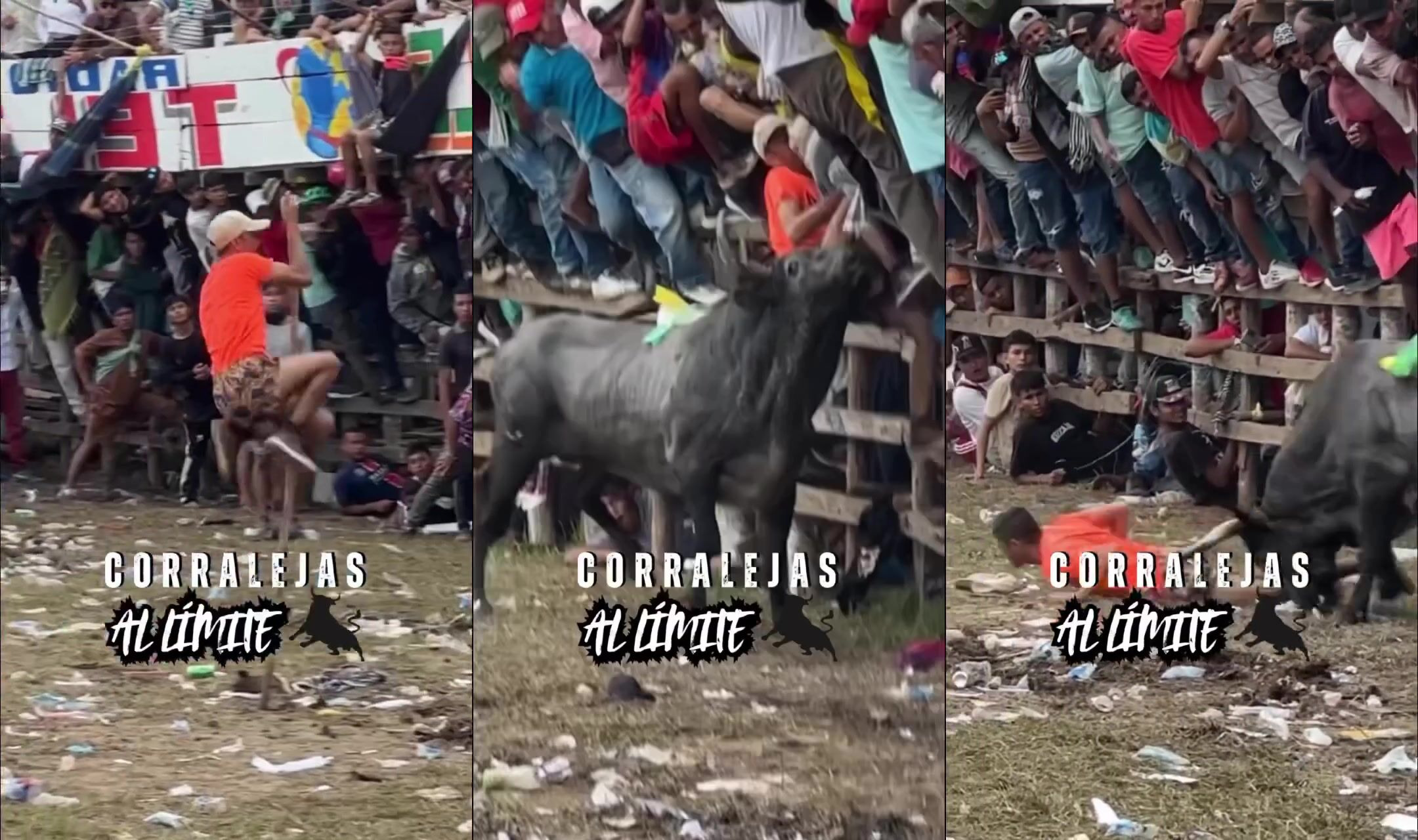 Another Idiot Gets Gored By Angry Bull