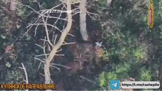 Ukrats and their shitty camouflage.