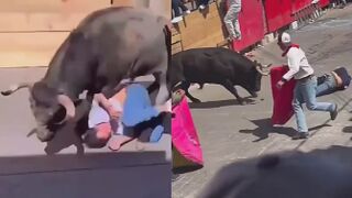 One Dead And Nine Injured During Bull Festival In Mexico