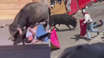 One Dead And Nine Injured During Bull Festival In Mexico
