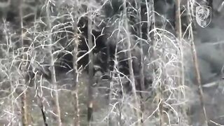 Minus 141 Russians by 63rd Brigade.