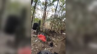 Oi,Suzy!