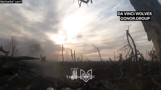 A compilation of suffering and agonizing death for Russian subhumans.