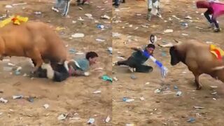 Bullrider Gored In  The Ass During Event In Colombia