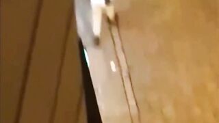 Classic: Albanian Goes Berserk in Austria