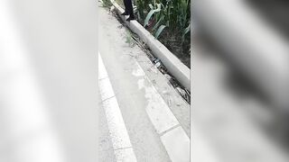 Man Survives After Being Run Over By Front Loader
