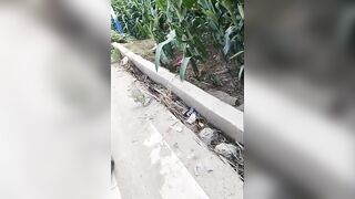 Man Survives After Being Run Over By Front Loader