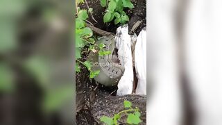 Rotten Ukrainian drone operator.