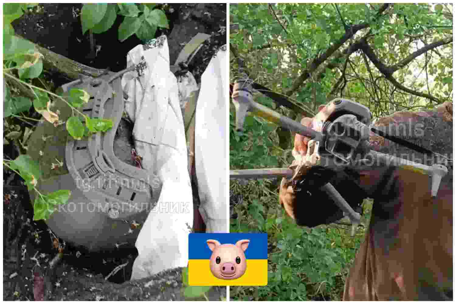 Rotten Ukrainian drone operator.