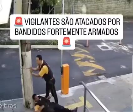 Security guard executed in robbery
