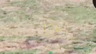 ANOTHER CARNAGE OF UKRANIAN SOLDIERS