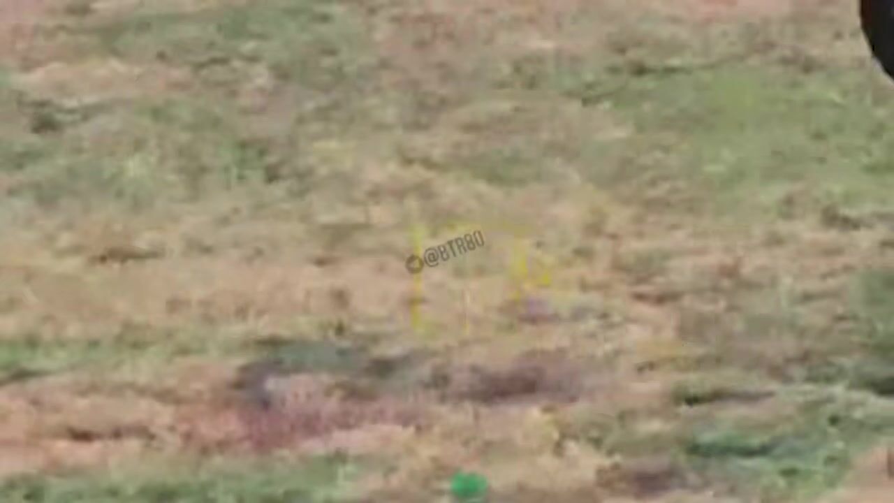 ANOTHER CARNAGE OF UKRANIAN SOLDIERS