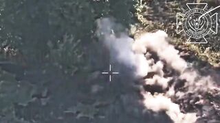 UKRANIAN SOLDIERS ARE LOSING THEIR MIND