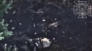 UKRANIAN SOLDIERS ARE LOSING THEIR MIND