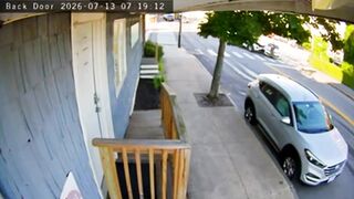 Ice agent Fatally shoots A 26-year-old Colombian man During a Document check In maine