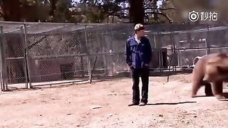 Classic: Bear Suddenly Attacks A Man In Canada