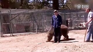 Classic: Bear Suddenly Attacks A Man In Canada
