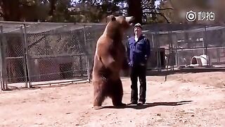 Classic: Bear Suddenly Attacks A Man In Canada
