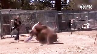 Classic: Bear Suddenly Attacks A Man In Canada