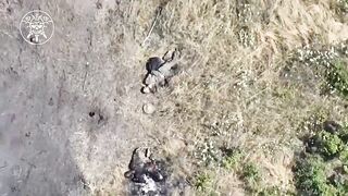 30 corpses of dead ruzzian invaders on Kharkiv area