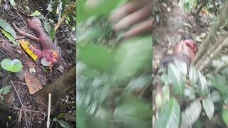 Tiger kills and devours man