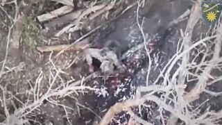 Russhit burned to death.