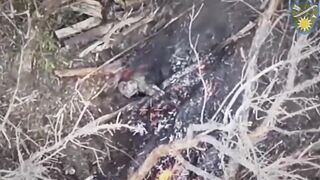 Russhit burned to death.
