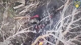 Russhit burned to death.