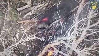 Russhit burned to death.