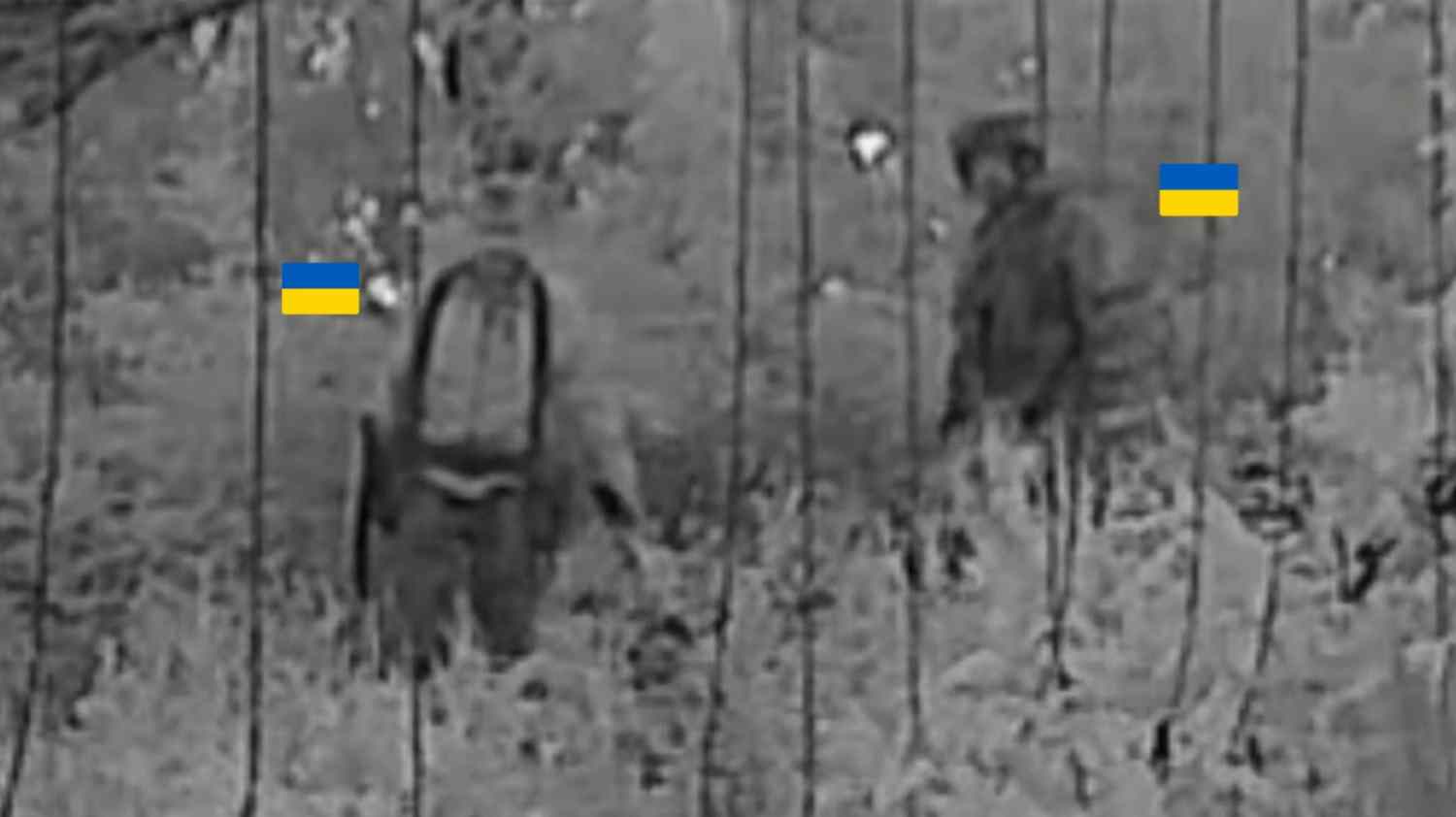 Very intelligent Ukrainians.