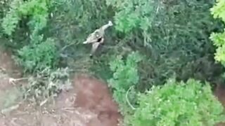 Promising Darwin Award contender.