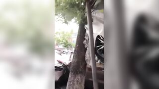 Driver suffers medical emergency kills one and leaves 5 others injured in China