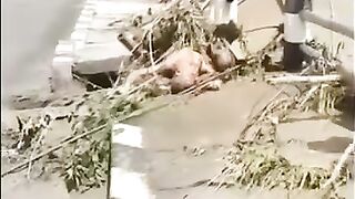 Nepal: Floods Wipe Out Town, 12 Bodies Found, 384 Tourists Missing