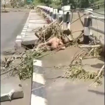 Nepal: Floods Wipe Out Town, 12 Bodies Found, 384 Tourists Missing