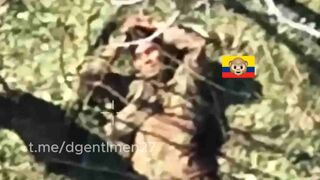 Colombian Merc gets a Fatality.