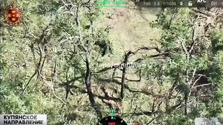 Colombian Merc gets a Fatality.