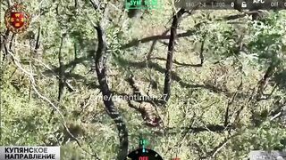 Colombian Merc gets a Fatality.