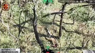 Colombian Merc gets a Fatality.