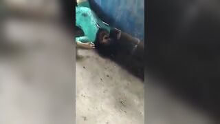 Woman Was Killed By His Own Son In Venezuela ( Fucking Sick)