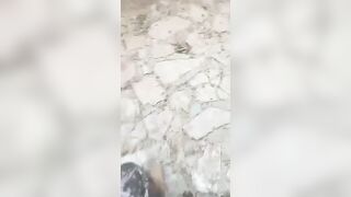 Five Killed Following Gang Raid In Haiti