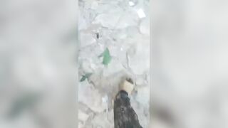 Five Killed Following Gang Raid In Haiti