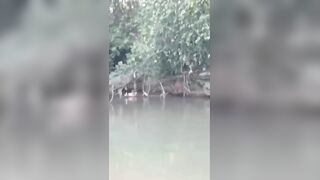 Three Men Drowned While Fishing In Local River