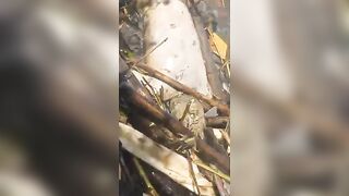 Tattoos help ID body found in Venezuelan river