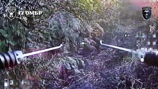 Dead Russians by 42nd Brigade.