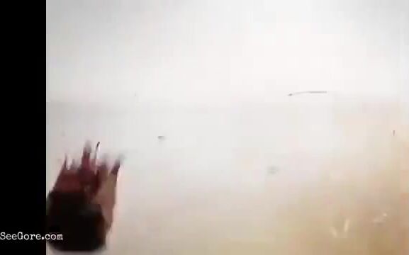 Isis Execution