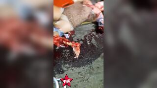 She Will Never Ride A Motorcycle Again, Never