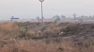 Dirty katsaps filming an drone attack on ruzky base far from frontline