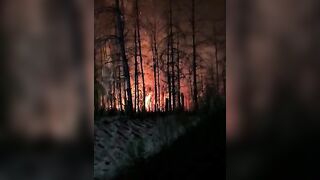 Dirty katsaps filming burning their ammo deposit after Ukrainian deep drone strike