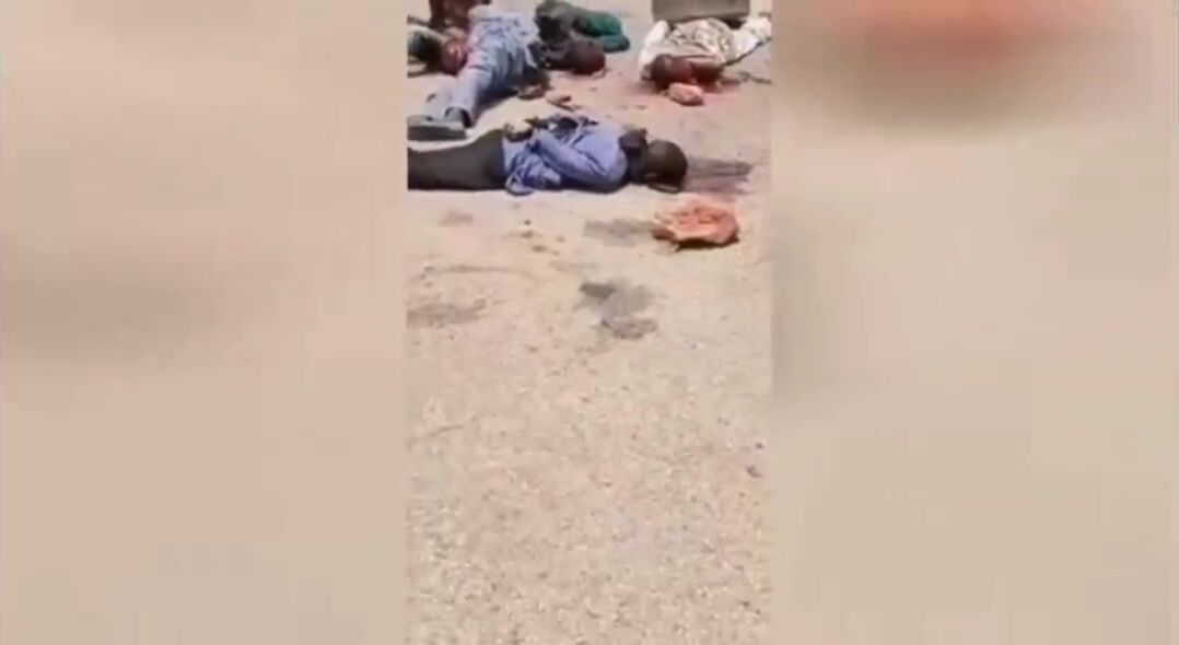 RAPIST Was Killed By Stone In Head