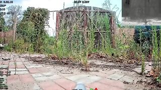 GONE IN A SPLIT SECOND